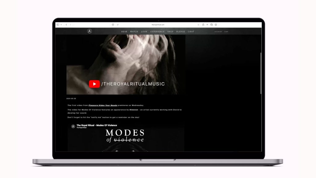 PLEASURE HIDES YOUR NEEDS WEBSITE